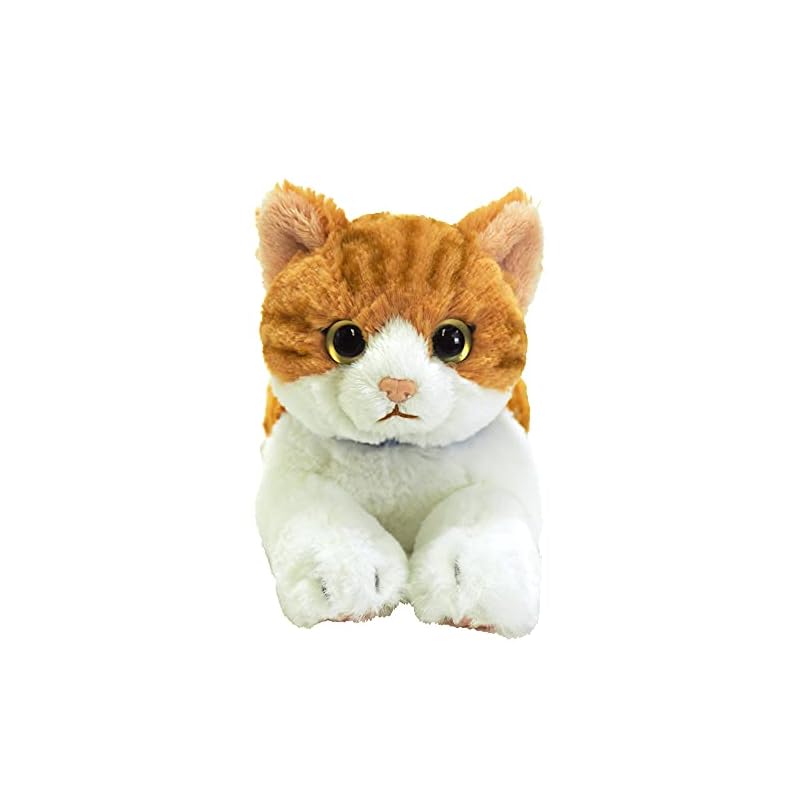 SunLemon Кот на коленях Часиро Маленький 13 x 36 x 15 см Плюшевое животное Милый кот P-7822