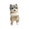 Congratulations Schnauzer Cat Teddy Simulation Large To Relaxing Pinch Cat Gift Schnauzer Congr O3P9