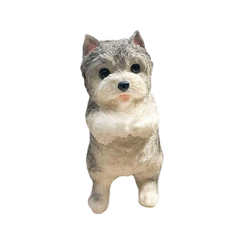 Congratulations Schnauzer Cat Teddy Simulation Large To Relaxing Pinch Cat Gift Schnauzer Congr O3P9
