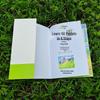 6-Step Oil Pastel Landscape Painting Guide