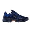 Air Max Plus 'Французская футбольная федерация'
