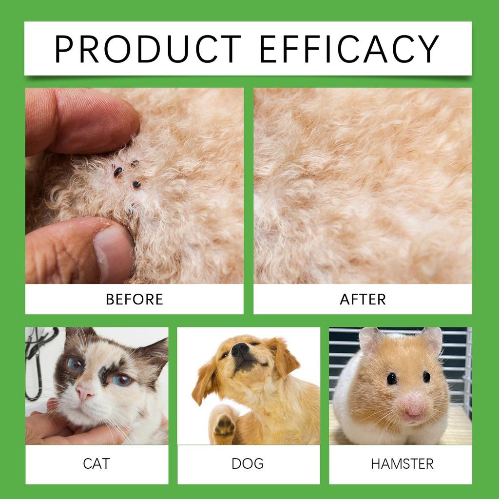 Fleas & Ticks Spray Deodorant Spray Pet Insect Spray Pet Health Mites, Fleas, Cats & Dogs,50ML