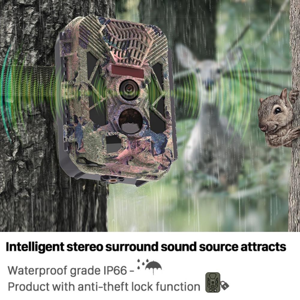 Hb561 камера для троп дикой природы, отпугиватель птиц, охота, разведка, 2,8 дюйма, 20 МП, 2,7 К, 35 м, цифровая камера дальнего действия
