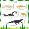 TOYMANY 12 ШТ. Фигурки Животных Набор Фигурок Диких Животных Реалистичные Модели Животных Тема Зоопарка Популярные Животные Игрушки Подарок на День Рождения Украшение Рождество Новый Г