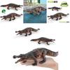 Sarcosuchus Ancient Amphibian Model For Kids Learning Pvc Figurine