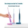 FLYCO FT7105 Deep Cleaning Sonic Electric Toothbrush