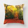 Natural World Landscape Throw Pillow Cover Sofa Decor Car Office Seat Cushion  Room Bedside   Home
