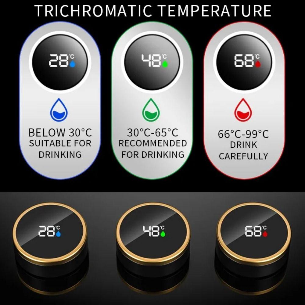 Светодиодный дисплей температуры Термос-заварник для чая Сепаратор-сито Интеллектуальная вакуумная чашка Кофе