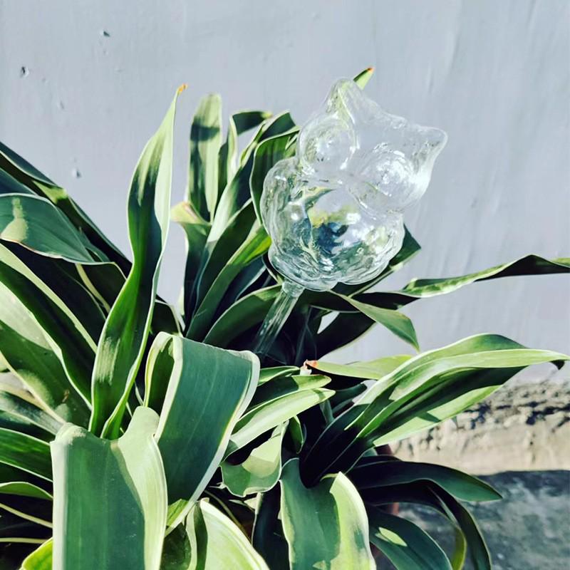 Mushroom Glass Drip Irrigation Device for Potted Plants