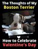 Книга The Thoughts of My Boston Terrier : How To Celebrate Valentine's Day