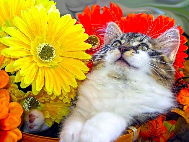 5D Алмазная картина Полный Круглый Квадратный Пейзаж Стразы Алмазная Вышивка Распродажа Космическая Мозаика Домашний Декор