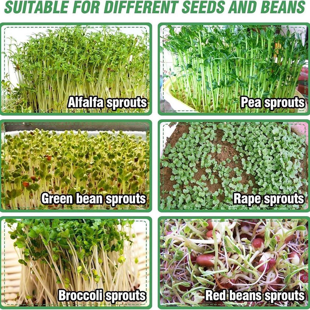 Stainless Steel Seed Sprouting Kit Round Sprouts Grower Sprouting Tray Sprouter Maker Plant Germination Tray for Beans Broccoli
