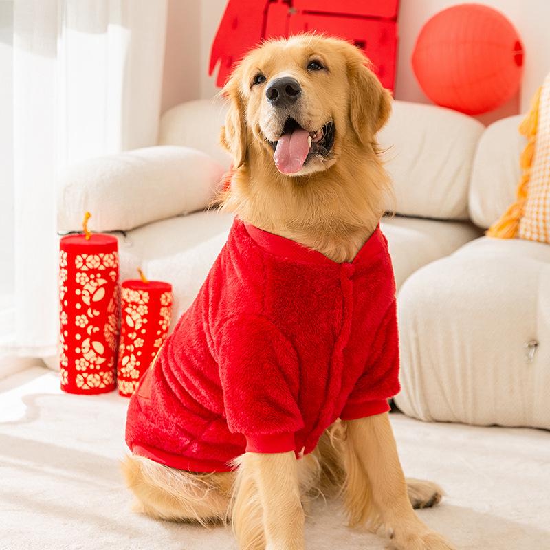 And Large Dogs Celebrate the Chinese New Year, Golden Retrievers, Side Herding, New Year's Greetings, Two-legged Warm Fleece, Pet Dog Clothes