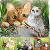 5D алмазная живопись, полная алмазов, милые кошки и собаки, алмазная живопись, ручная работа, сделай сам, алмазная мозаика, картина, украшение дома