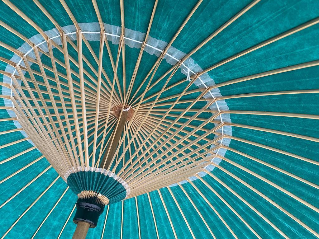 Yamamoto Takezaikuya Hannari Водонепроницаемый Сделано в Японии с виниловым покрытием (ЯМАМОТОТАКИЗАИКУЯ) Зонт, Бангаса, Япония, (зеленый)