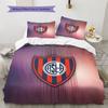 Club Atlético San Lorenzo de Almagro Pattern Bedding Quilt Set  Home Decoration  Gift (1 * duvet cover + 2 * pillowcase  without core)