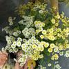 Party Home Flower Accessories Artificial Flowers Garden Crafts Daisy Flowers Wedding Decoration