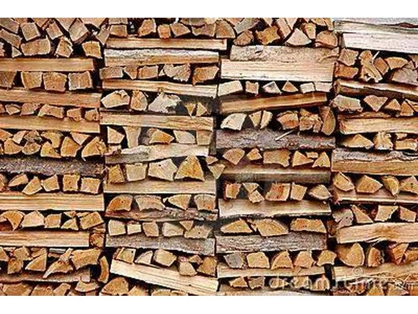 Outdoor Camping Firewood (10 Jin)