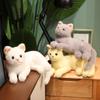 1 шт. Реалистичный Плюшевый Кот Мягкие Игрушки Симуляция Британской Короткошерстной Кошки Пушистые Детские Игрушки Подарок на День Рождения Рождество для Детей