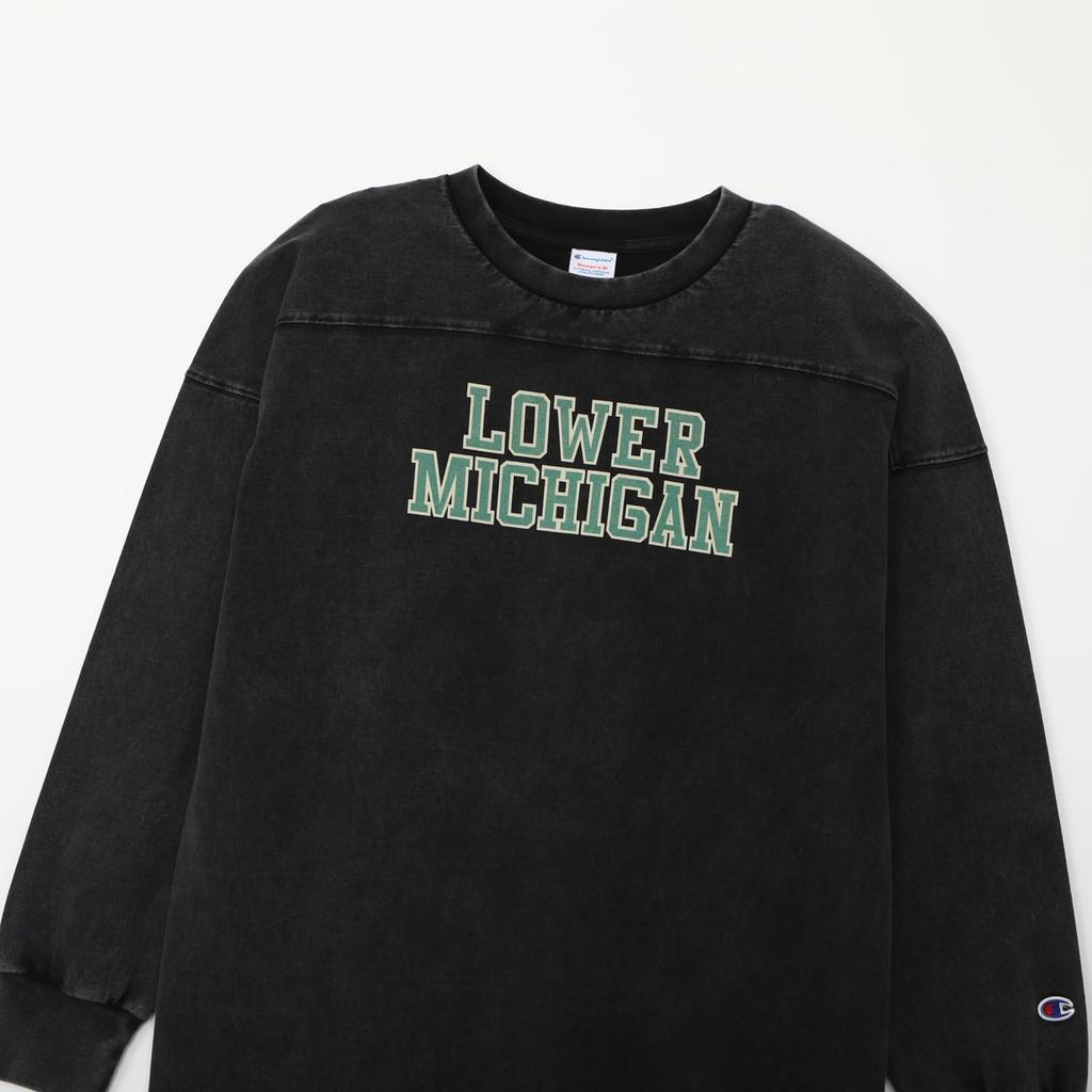 Champion Tunic Long Crew USA Bleach Side Relaxed Graphic Dress, Sleeve, Neck, 100% Cotton, Wash, Slit, Fit, Print, CW-C402-090-L