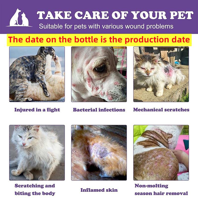 Лечение кожи домашних животных для собак и кошек, противогрибковый спрей для домашних животных, лечение кожных заболеваний у собак от клещей и блох