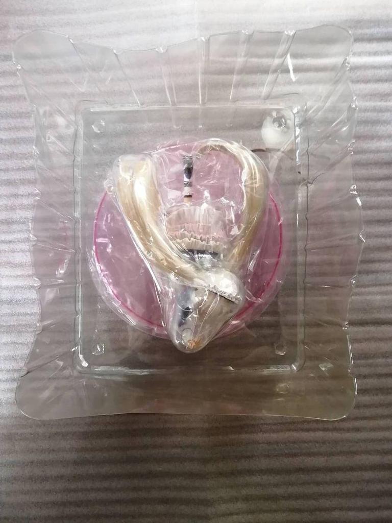 [USED] Chobits Chi Chi Lilics Figure Lyrics Art Storm