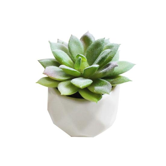 1шт искусственный цветок суккулентное растение бонсай DIY сад офис домашний декор партии