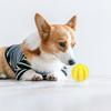 Игрушки для собак из натурального каучука, жевательные игрушки для собак, мяч для чистки зубов, сверхпрочный интерактивный эластичный мяч для товаров для домашних животных