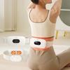 Hezheng Smart Waist & Abdomen Massager