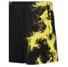 Шорты Plein Sport 28337