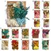 1 Bag Dried Flower Model Eye-catching Charming Smooth Surface Durable Fantastic Detailed Dried Flower Display for Kid