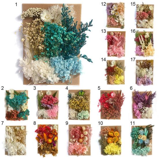 1 Bag Dried Flower Model Eye-catching Charming Smooth Surface Durable Fantastic Detailed Dried Flower Display for Kid