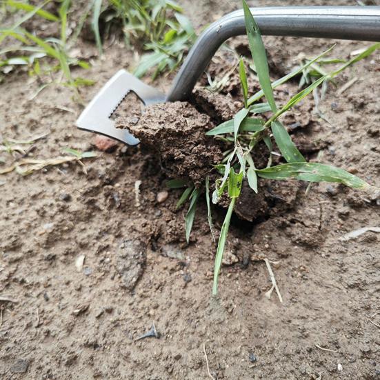 Инструмент для удаления сорняков из марганцевой стали, инструмент для удаления сорняков в саду с длинной ручкой для прополки овощных культур