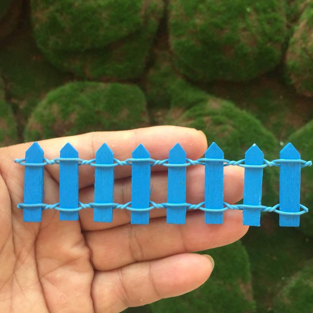 Набор из восьми мини-суккулентов на деревянном заборе