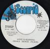 7inch Record CHAKA DEMUS  PLIERS  Love Is Burning NONE BLACK SCORPIO 1994 Jamaica Reggae Ska  Dub Used
