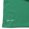 Nike Мужские трикотажные изделия NBA Boston Celtics Jayson Tatum Statement Edition, зеленые 870761-318