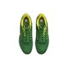 Nike Air Zoom Pegasus 39 Oregon DR1970-300