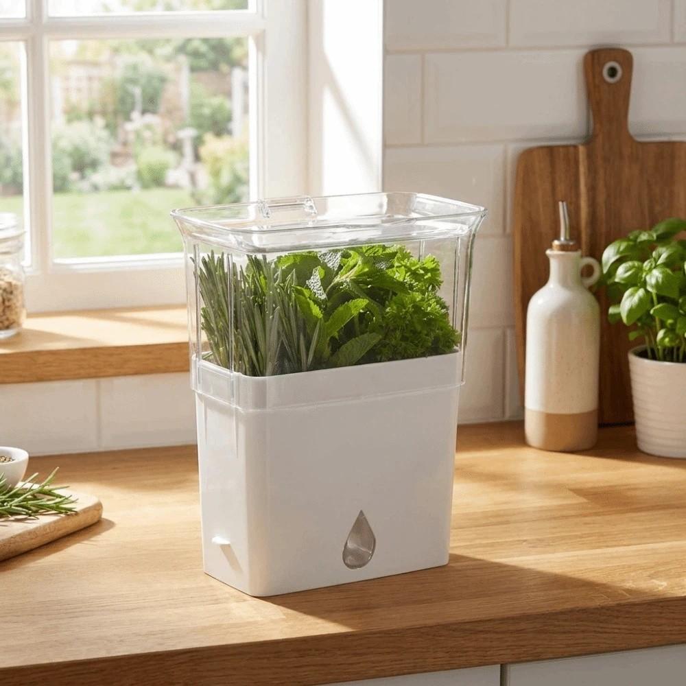 Large Capacity Fresh Herb Keeper Plastic Herb Lettuce Keeper Vanilla Bean Storage Box Mint
