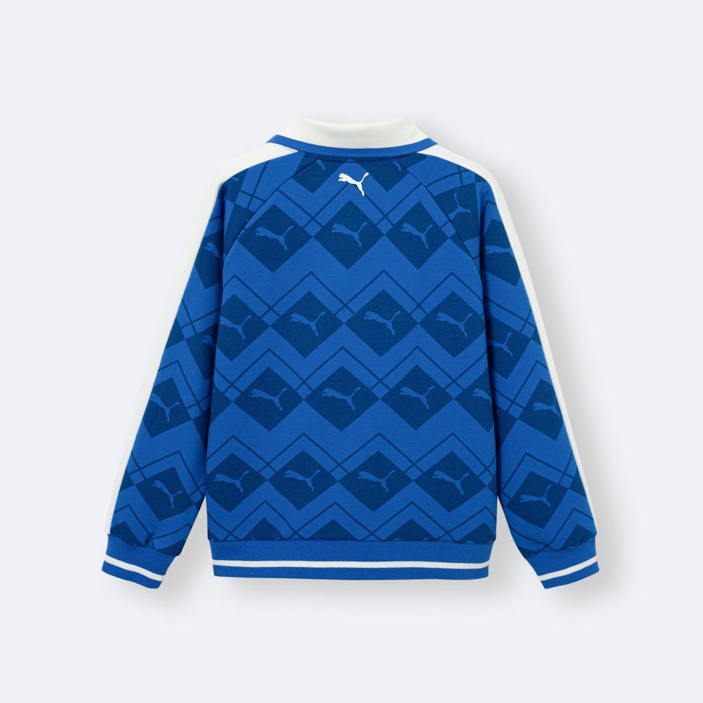 PUMA Kids Sweatshirts Lapel Moderate 353126121204