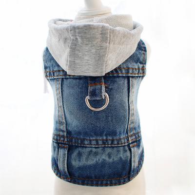 Домашний кот маленькая собака чем медведь собака одежда красивый джинсовый наряд весна и осень зима взрыв