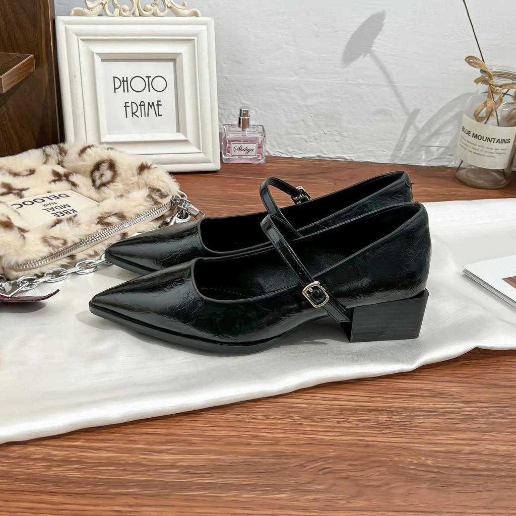 Женские туфли на высоком толстом каблуке не утомляют ноги, французские однословные туфли-лодочки с острым носком, новая модная коллекция весна-лето 2025, женщины Хуэйчжоу