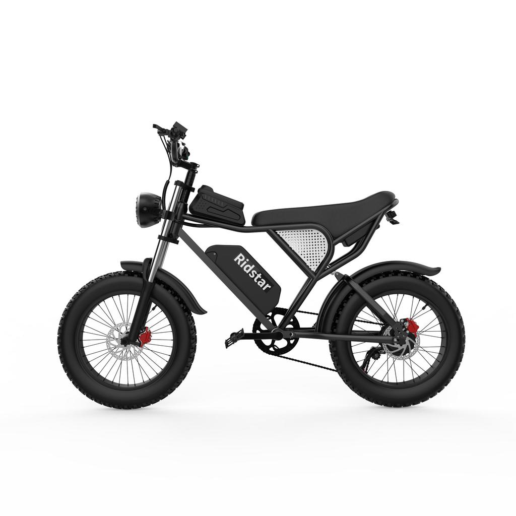 Ridstar Q20 integrated wheel All Terrain Electric Bicycle 1000W Men's E-Mountain ebike 48V17.5Ah Battery 20 Inch Wide Tyre women's Electric Bike