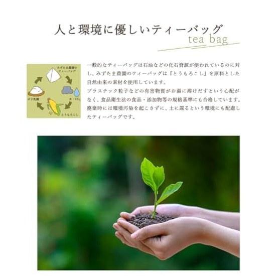 Mizutama Farm Gokugoku Refreshing Brown Rice Tea Bags 2.5g100 Packs (250g)Domestic(Domestic Japanese Pack Cold Brew Water Extraction Large Capacity