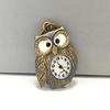 Мультяшные женские мужские карманные часы Сова Милые Мини Антикварные Бронзовый Цвет Кварцевые Карманные Часы на Цепочке Для Подарка Семье На День Рождения