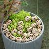 20pcs Resin Small Set Outdoor Garden Flower Pot Surface Paving Stone Decorations, Halloween Decorations
