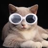 Doll Accessories Dress Up Doll Glasses Toys Decoration Fashion Pet Sunglasses Mini Plastic Dolls Eyeglasses 20Cm Dolls