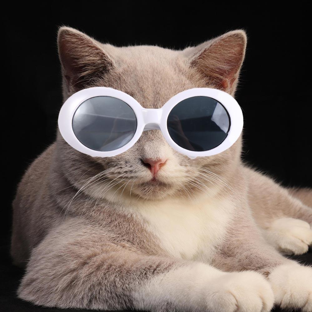 Doll Accessories Dress Up Doll Glasses Toys Decoration Fashion Pet Sunglasses Mini Plastic Dolls Eyeglasses 20Cm Dolls