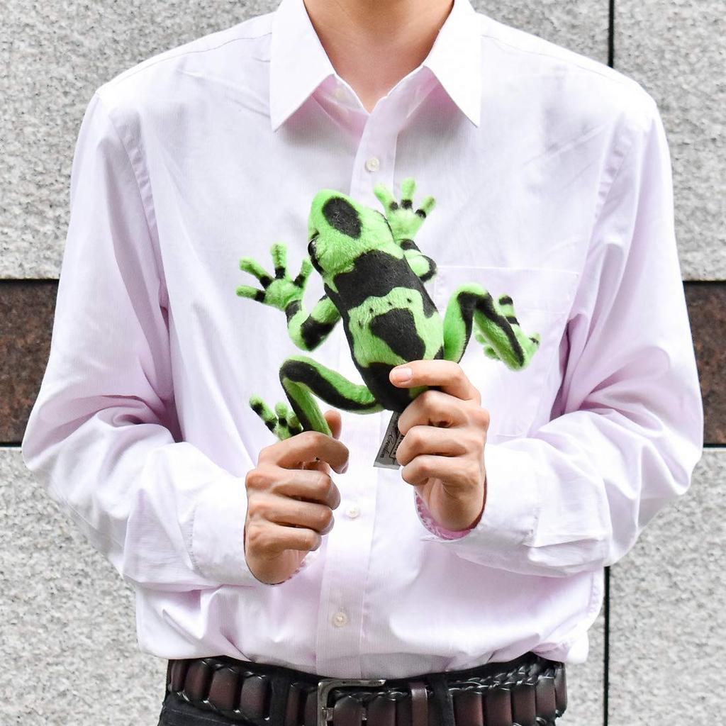 Зеленая ядовитая лягушка-древолаз №5224