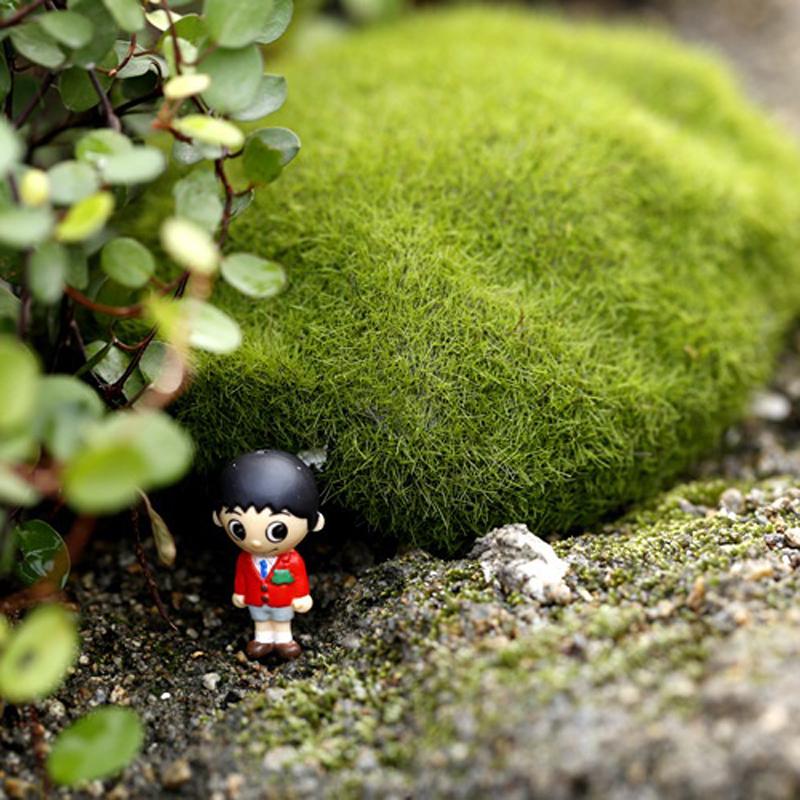 2/4/5/8/10 шт. микропейзаж мох зеленая трава фигурки миниатюрные украшения для мини DIY сказочный сад аквариум моделирование статуя ремесло