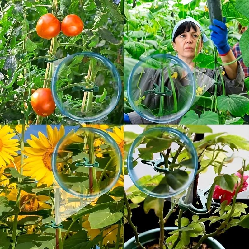 20 шт. Растение Фиксирующие Клипсы Многоразовые Садовые Теплицы Кронштейн Садовые Растения Лоза Вьющиеся Зажим Цветок Томат Поддержка Крепеж